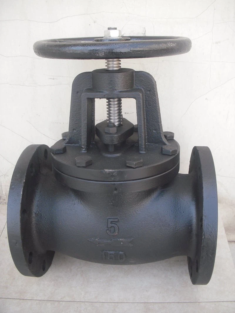 Cast Iron Flange Globe Valve