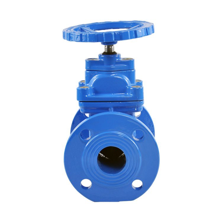 Rubber Seat Gate Valve