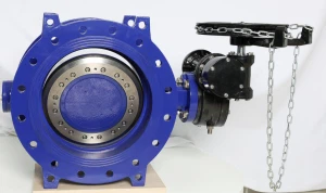 Kuidas kasutada topeltekstsentrilist liblikklappi?