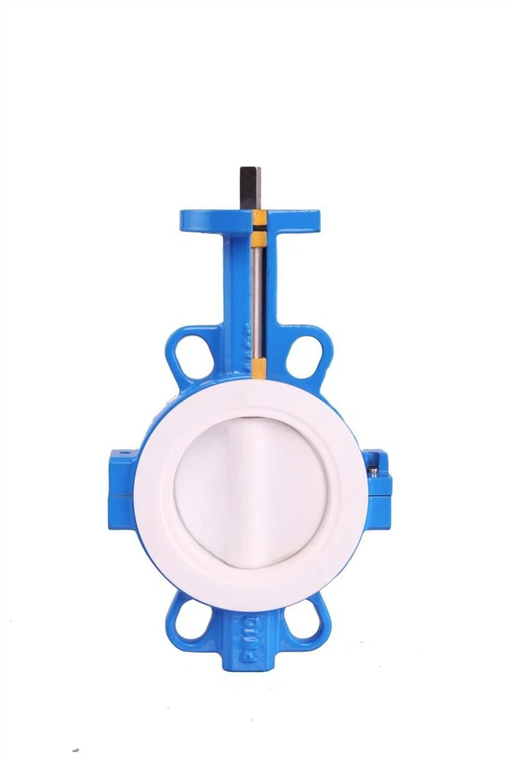 OEM PTFE Corrosion-Resistant Butterfly Valve